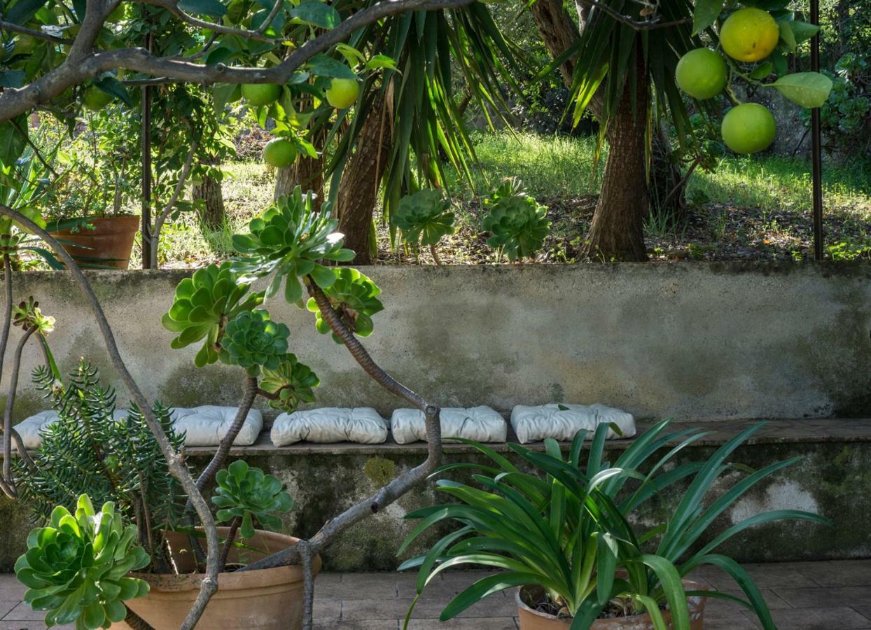 Villa Santa Lucia Cefalù Eksteriør bilde
